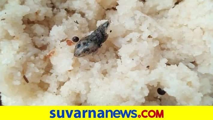 5 Students Ill after Had Breakfast in Yadgir grg 5 Students Ill after Had Breakfast in Yadgir grg