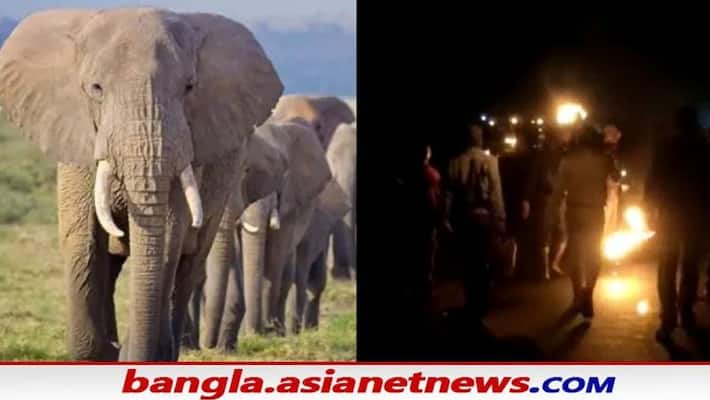 The forest department has sent elephant herds to the Jaipur forest in Bankura on Friday RTB The forest department has sent elephant herds to the Jaipur forest in Bankura on Friday RTB