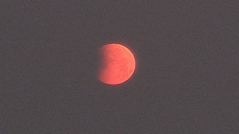 Chandra Grahan 2021: why we should not eat food during lunar eclipse dva