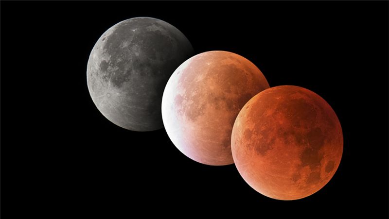 Chandra Grahan 2021: why we should not eat food during lunar eclipse dva