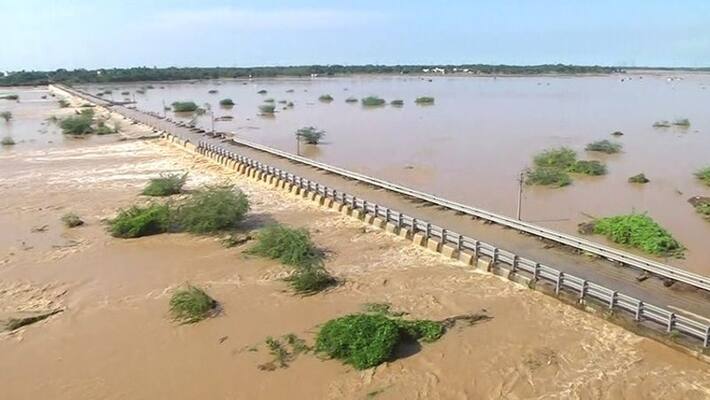 1 lakh cubic feet of water in Ranipettai lake after 100 years 1 lakh cubic feet of water in Ranipettai lake after 100 years