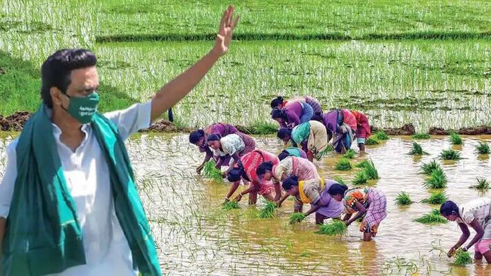 Delta Farmers announced that Tribute to cm stalin in Thiruvarur Delta Farmers announced that Tribute to cm stalin in Thiruvarur