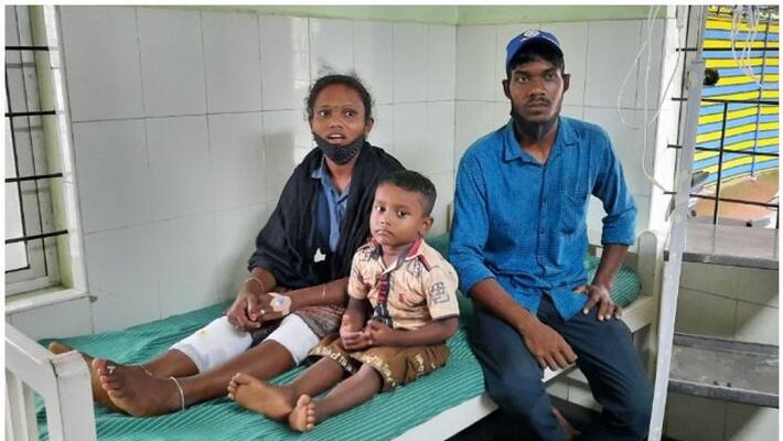 Family escaped from tiger attack in Karuvarakundu Family escaped from tiger attack in Karuvarakundu