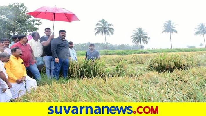 Compensation Will Be Give After Completion of Crop Damage Survey Says BC Patil grg Compensation Will Be Give After Completion of Crop Damage Survey Says BC Patil grg
