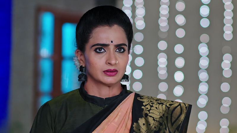Karthik lashes out at Monitha for provoking Deepa in todays Karthika deepam serial episode