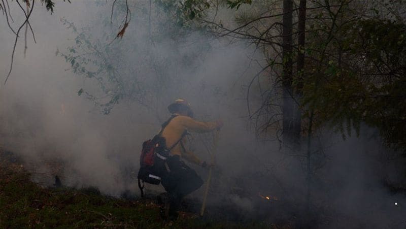 Wildfire in California,Threat to the life of the world rare sequoia trees KPA