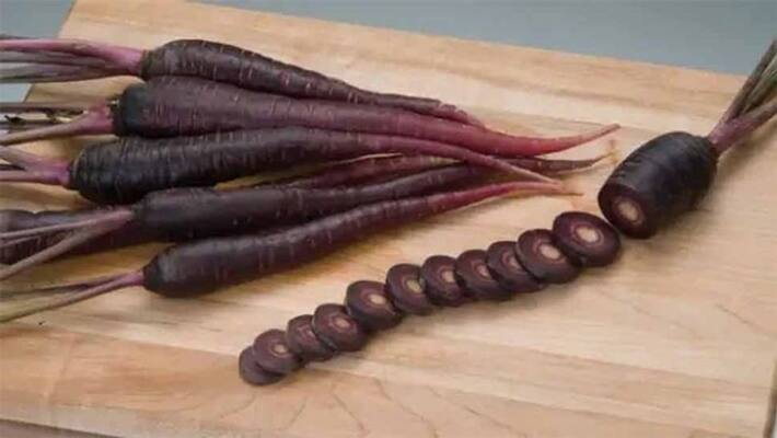 5 Benefits Of Black Carrot, know its uses and how it is different from other vegetables dva 5 Benefits Of Black Carrot, know its uses and how it is different from other vegetables dva