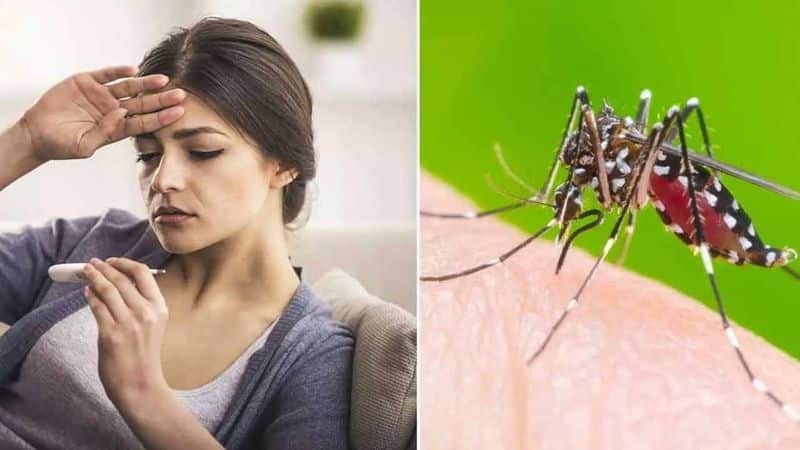 Indications of outbreak of dengue fever in kerala Expert warns of extreme spread