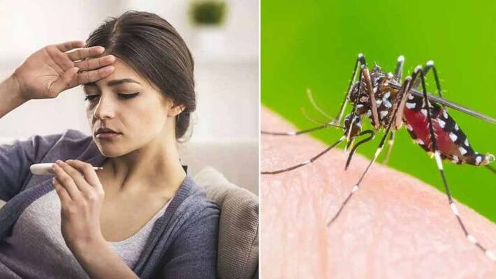 If someone comes to buy paracetamol due to fever, his name, address should be given to the administration, ordered Nabanna ANBISD If someone comes to buy paracetamol due to fever, his name, address should be given to the administration, ordered Nabanna ANBISD