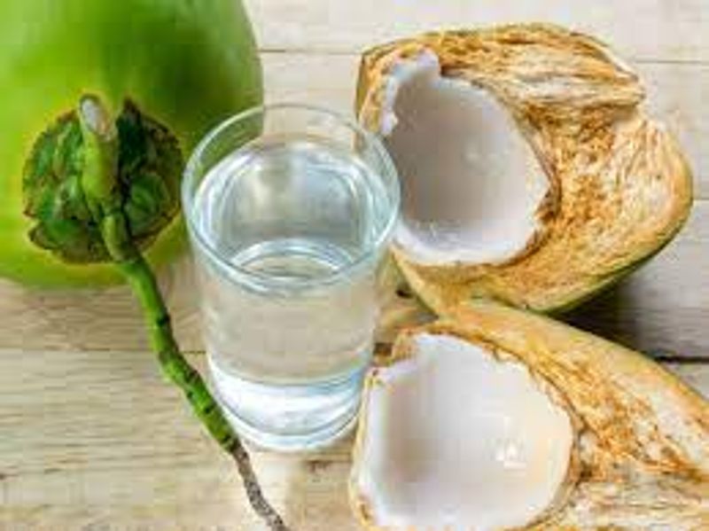 Rainy season disease dengue fever quick home remedies that full work