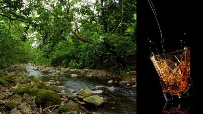 huge amount of Alcohol presence in a stream in Hawaii huge amount of Alcohol presence in a stream in Hawaii