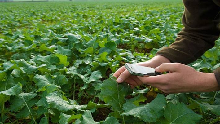 Gujrat Farmer BhupendraBhai patel Farmer Smartphone Gujrat Farmer BhupendraBhai patel Farmer Smartphone