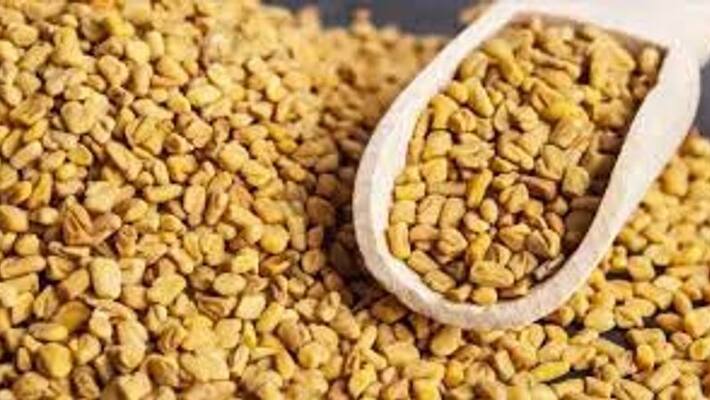 Why do you should eat fenugreek every day Why do you should eat fenugreek every day