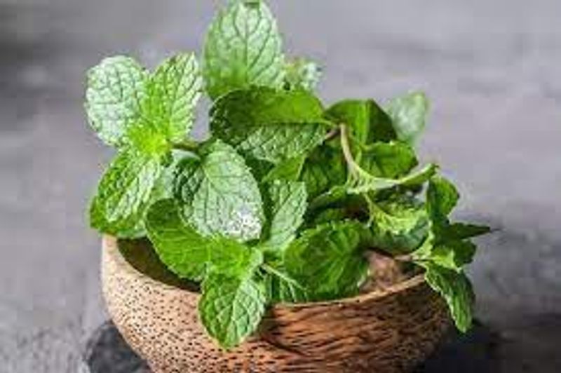 10 best healthy foods for brain power full details are here