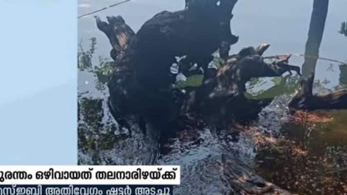 huge tree floting in idukki resrvor cause confusion huge tree floting in idukki resrvor cause confusion