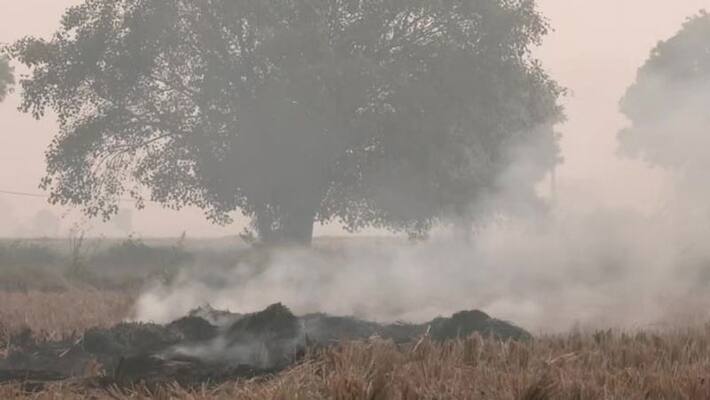 Delhi pollution, There is no improvement in air quality, Arvind Kejriwal will hold review meeting KPA Delhi pollution, There is no improvement in air quality, Arvind Kejriwal will hold review meeting KPA