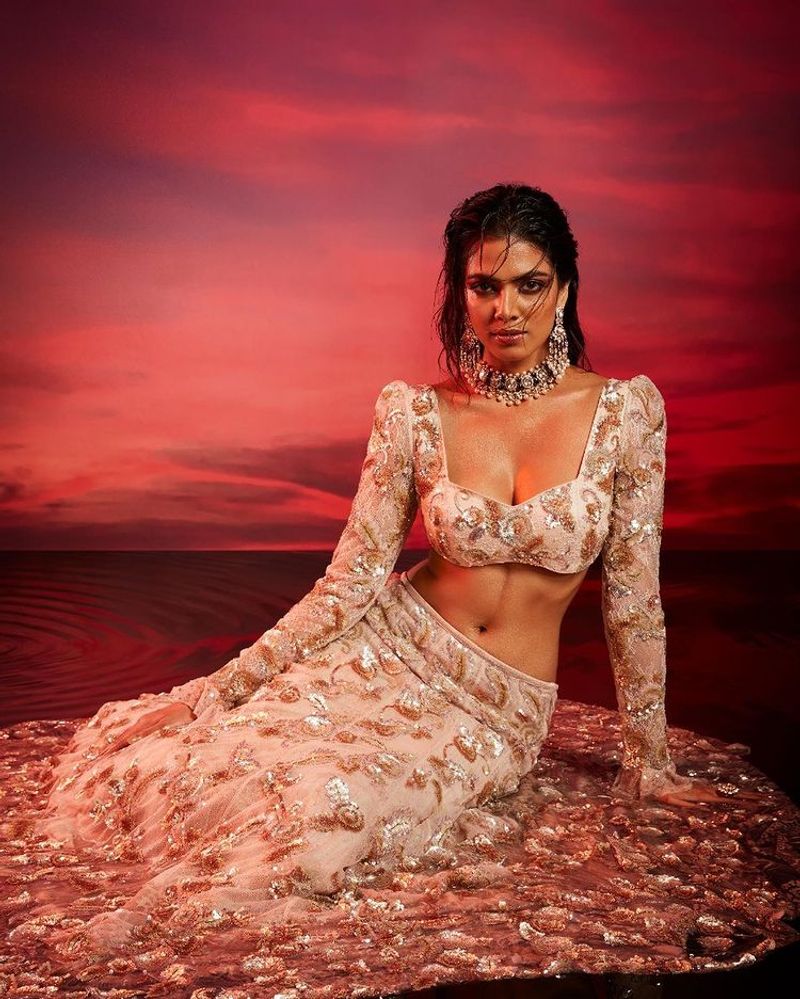 Malavika Mohanan stuning photos