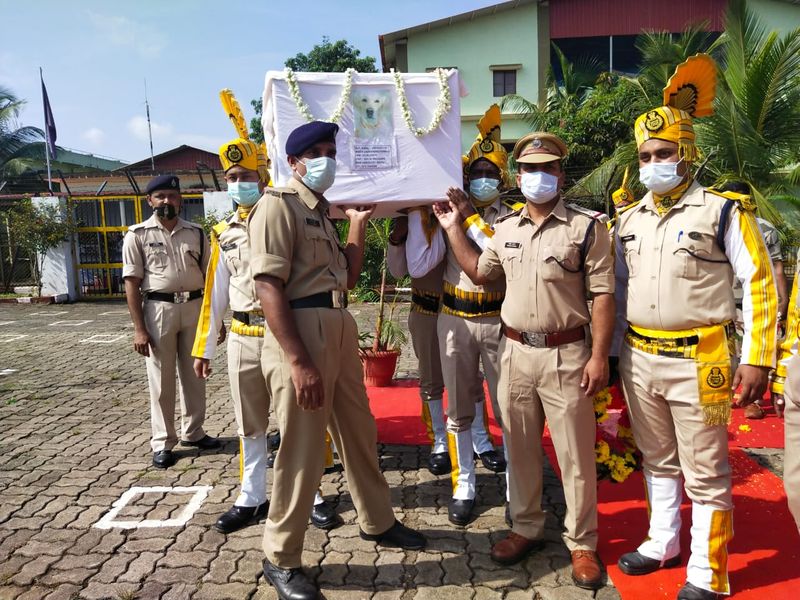 Mangaluru airport CISF Dog leena dies from Kidney failure snr