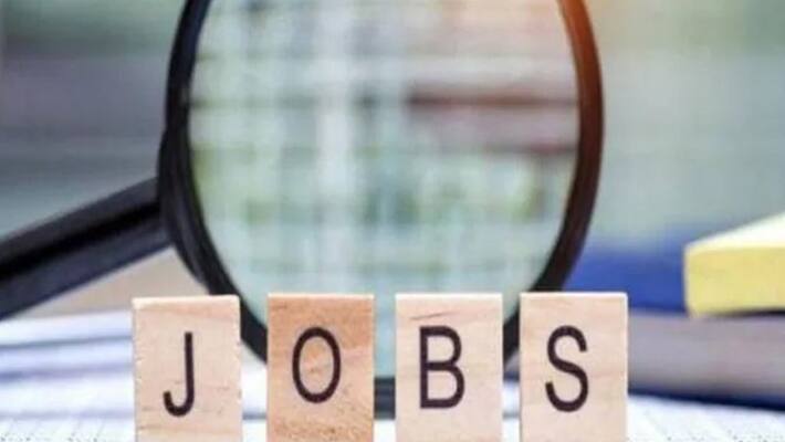 Unemployed again disappointed .. Government efforts to adjust the old in the vacancies Unemployed again disappointed .. Government efforts to adjust the old in the vacancies