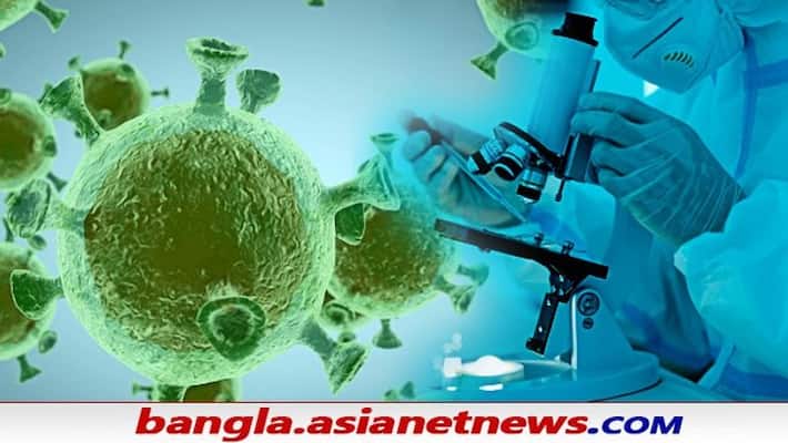 Scientists find 18 virus from China's wet markets which poses high risk to humans ALB Scientists find 18 virus from China's wet markets which poses high risk to humans ALB