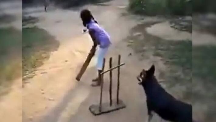Sachin Tendulkar Shares Video Of Dog Playing Cricket Sachin Tendulkar Shares Video Of Dog Playing Cricket
