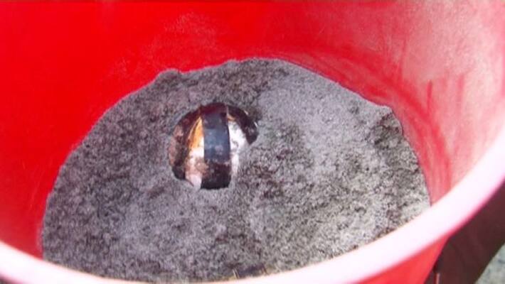Ice cream bomb blast in Dharmadam Three more bombs found Ice cream bomb blast in Dharmadam Three more bombs found