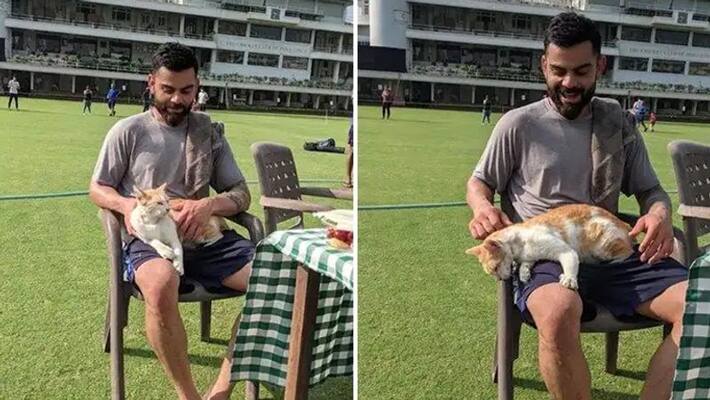 Virat Kohli plays with a Cat at Practice Session in Mumbai, Pics go Viral dva Virat Kohli plays with a Cat at Practice Session in Mumbai, Pics go Viral dva