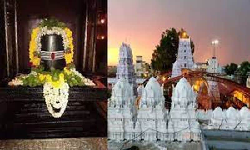 Know the speciality of Vemulavada sri raja rajeswara swami temple
