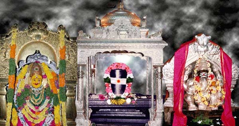 Know the speciality of Vemulavada sri raja rajeswara swami temple