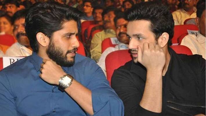 birthday boy naga chaitanya has one more brother like akhil birthday boy naga chaitanya has one more brother like akhil