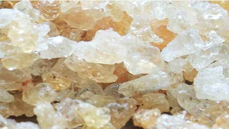 Health Benefits of Gondh: From skin care to male power, use Gond in this Winter season dva