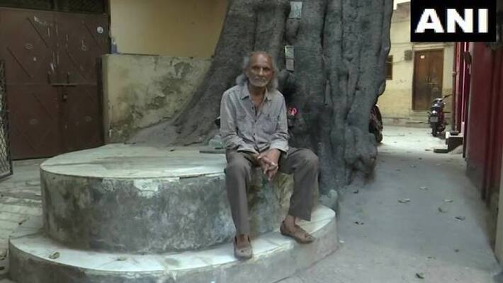 old man travels rohini to old delhi to sit under a tree old man travels rohini to old delhi to sit under a tree