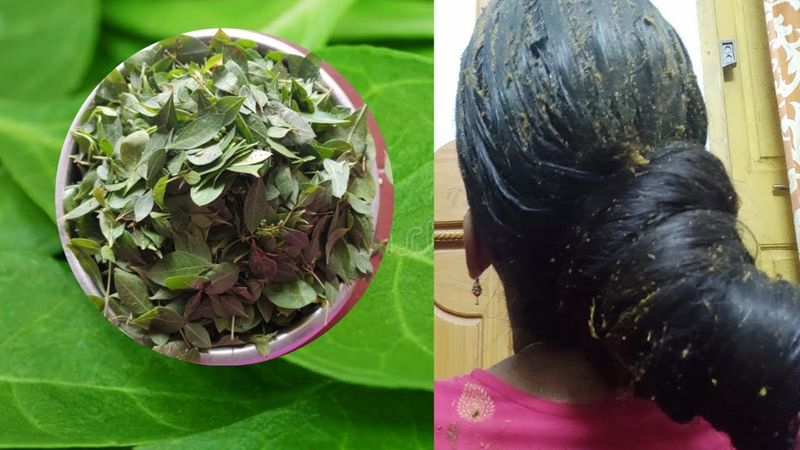 Best hair tips with natural henna full details are inside know the full details here