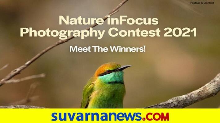 Nature In Focus announces 2021 photography and film competition winners rbj Nature In Focus announces 2021 photography and film competition winners rbj