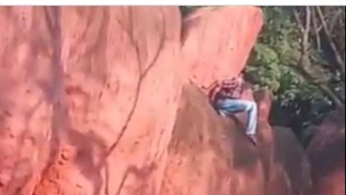 Man suicide attempt with lion Man suicide attempt with lion