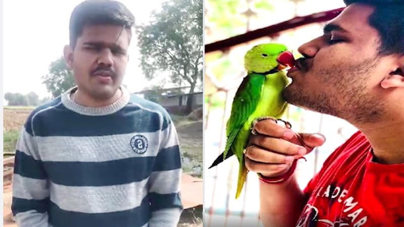 15 thousand rupees reward on missing parrot in jabalpur