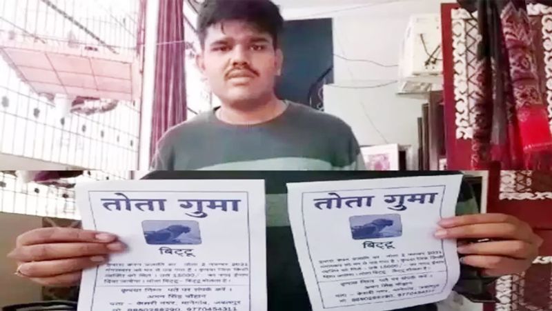 15 thousand rupees reward on missing parrot in jabalpur