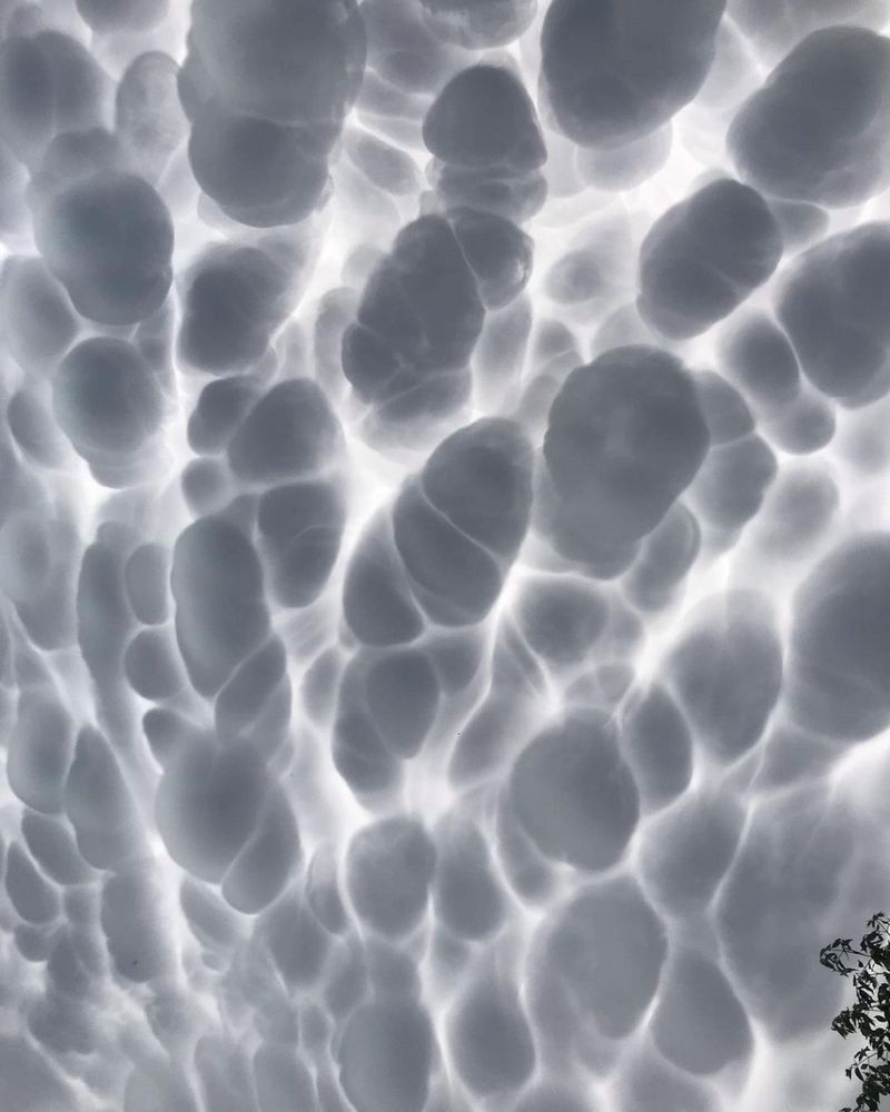 Wonder and worry about Mammatus clouds in the Argentine sky
