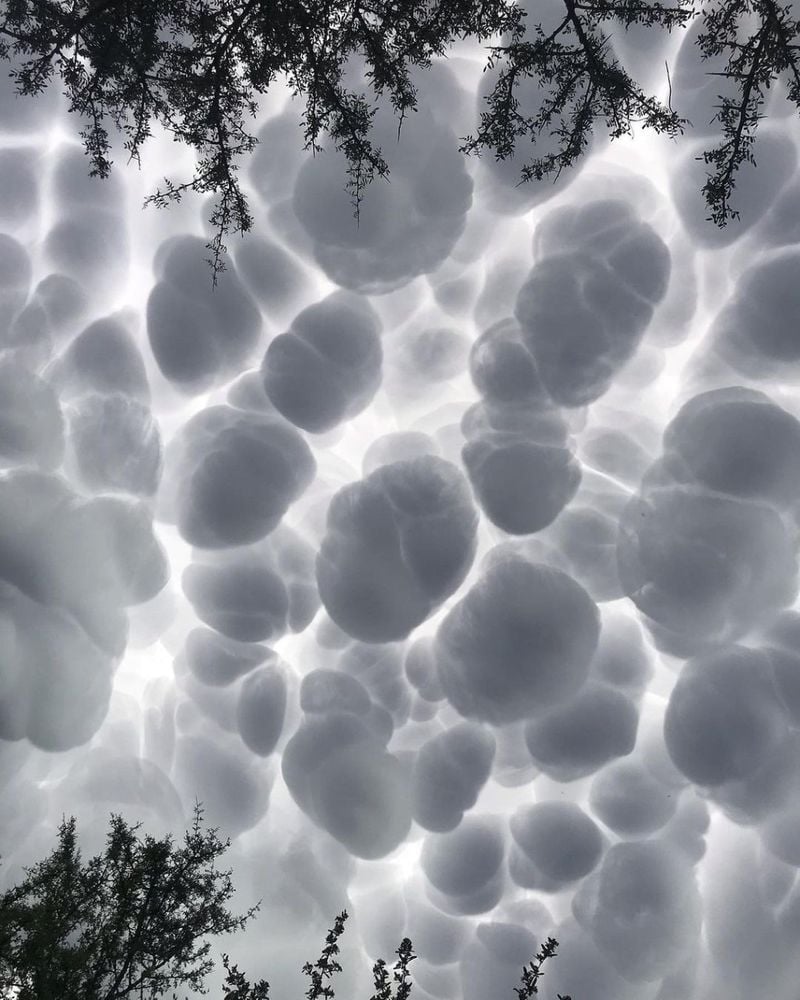 Wonder and worry about Mammatus clouds in the Argentine sky