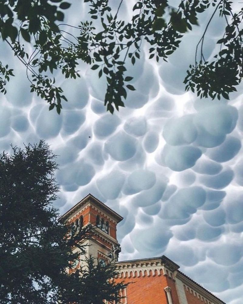 Wonder and worry about Mammatus clouds in the Argentine sky