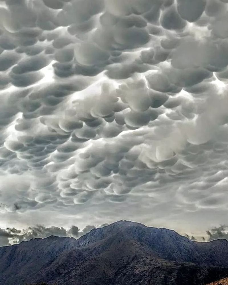 Wonder and worry about Mammatus clouds in the Argentine sky