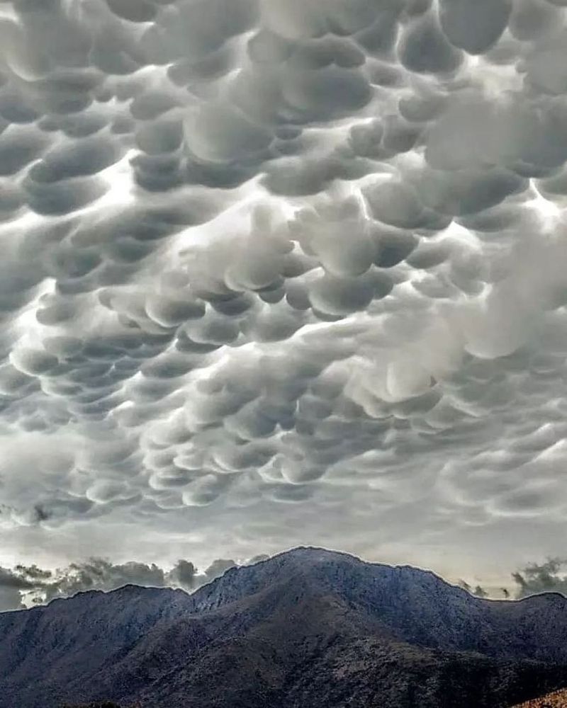 Wonder and worry about Mammatus clouds in the Argentine sky