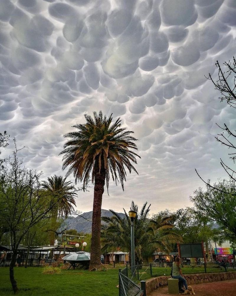 Wonder and worry about Mammatus clouds in the Argentine sky