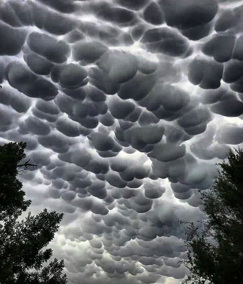 Wonder and worry about Mammatus clouds in the Argentine sky