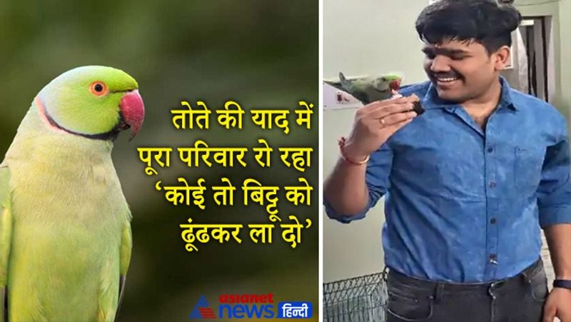 15 thousand rupees reward on missing parrot in jabalpur
