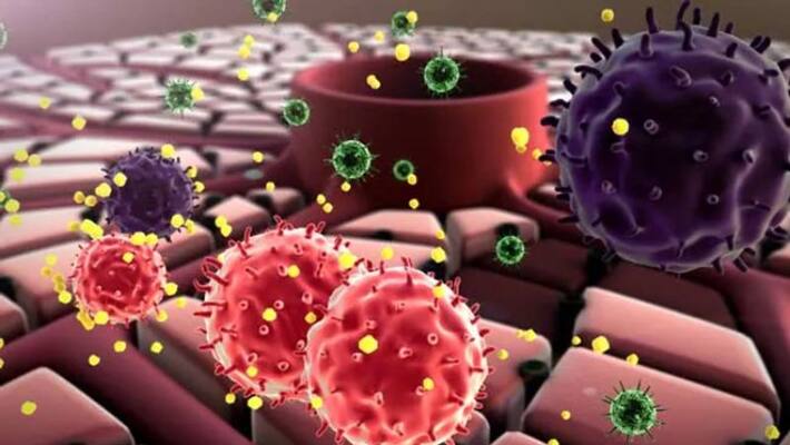 Two patients die of new strain of fungus called Aspergillus lentulus Two patients die of new strain of fungus called Aspergillus lentulus