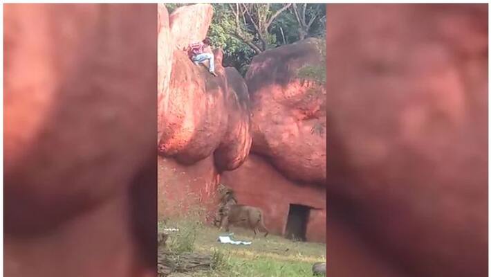 Man rescued from lion enclosure at Hyderabad zoo Man rescued from lion enclosure at Hyderabad zoo