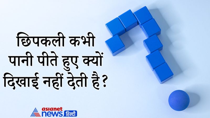 Upsc some tricky questions asked in ias Interview and Civil Services Exam interview pwt
