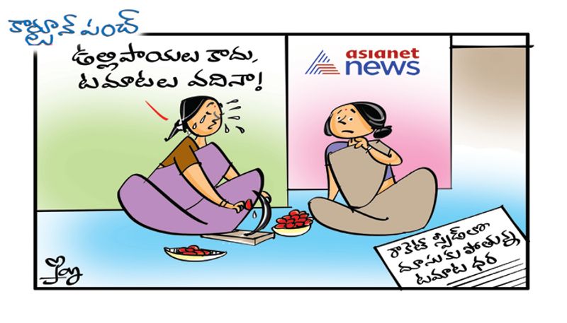 cartoon punch on Tamato price goes up