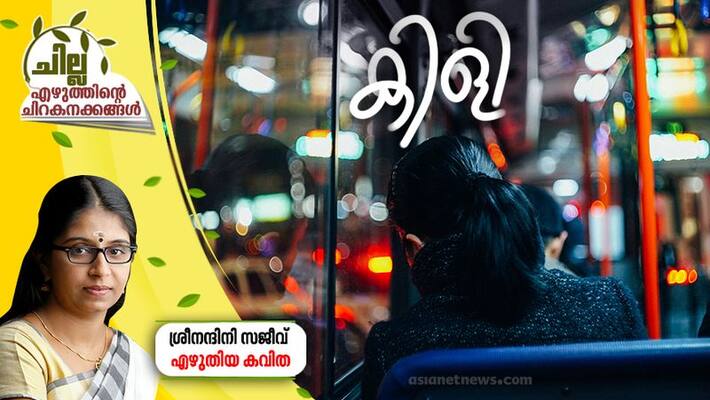 chilla malayalam poem by sreenandini sajeev chilla malayalam poem by sreenandini sajeev